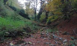 Korkutan Görüntü: Kurtköy Deresi’ndeki Gözeler Kuruyor!