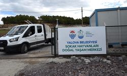 Sokak Hayvanları Doğal Yaşam Merkezi Ziyarete Açılıyor