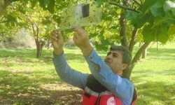 Tarım Alanlarında Zararlılara Geçit Yok