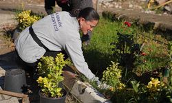 Termal Caddesi Yeşilleniyor