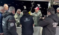 Marmara Denizi’nde 7/24 Hamsi Denetimi