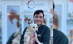 Bir Can Daha Yuvaya Kavuştu!