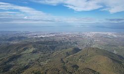 Yalova Ormanlarında Sonbahar Güzelliği