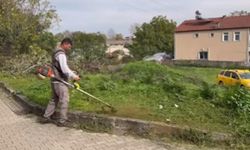 Altınova’da Otlar Biçiliyor, Çevre Temizleniyor