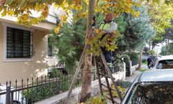 Adnan Menderes Mahallesi’nde Çevre Düzenleme Çalışması