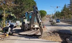 Çiftlikköy Belediyesi Gençlik Caddesi’nde Asfalt Çalışması Başlattı