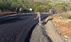 Çınarcık Belediyesi Sokak Hayvanları Bakımevi İçin Ulaşım Yolunu Asfaltladı
