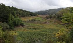 Gökçe Barajı Kuruyor: Yalova Belediyesi’nden Çağrı!