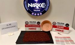 Yalova’da Uyuşturucu Operasyonları: 12 Kişi Tutuklandı