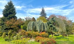 Yalova’nın Renk Bahçesi