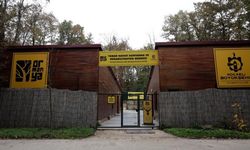 Doğanın şifası Ormanya'da: "Bu Merkez Yaban Hayvanlarına Umut Oluyor"