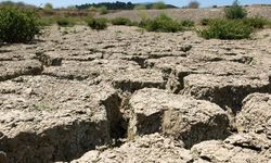 Yalova’da Yağışlar Son 40 Yılın En Düşük Seviyesinde!