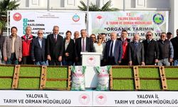 Yalova’da Çiftçilere Organik Aronya Gübresi ve 359 Bin Kıvırcık Fidesi Dağıtıldı