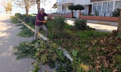 Zakkumlar Kışa Hazırlanıyor