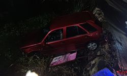 Altınova’da Otomobil Dereye Uçtu