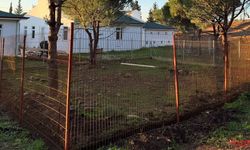 Armutlu Belediyesi’nden Yeni Hayvan Barınağında Doğal Yaşam Alanları