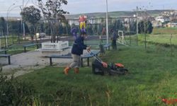 Çiftlikköy Belediyesi Park ve Bahçelerde Bakım Çalışmalarını Sürdürüyor