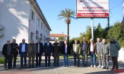 İncir Yetiştiriciliği Teknik Gezisi Gerçekleştirildi