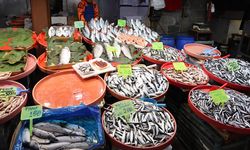 Aralık Ayı İtibariyle Yalova Balık Pazarı’nda Son Durum Ne?
