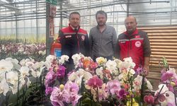 Müdür İlmeç’ten Türkiye’nin Yerli Orkide Üretim Tesisine Ziyaret
