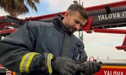 Ağaçta Mahsur Kalan Yaralı Karga İçin İtfaiye Seferber Oldu