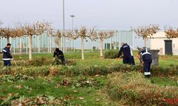 Çalışmalar Aralıksız Olarak Devam Ediyor
