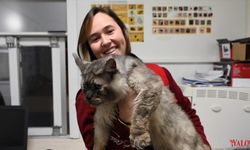 Yalova Belediyesi Çağrı Yaptı, Vatandaşlar Duyarsız Kalmadı