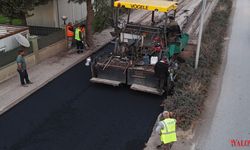 Çiftlikköy’de Asfalt ve Parke Çalışmaları Sürüyor