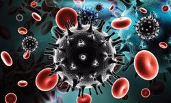 Yalova Eğitim ve Araştırma Hastanesi; AİDS Kontrol Altına Alınabilir!