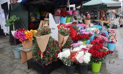 Aralık Ayının Habercisi Kokina, Yalova Kapalı Pazar’da Tezgâhlarda Yerini Aldı