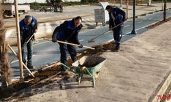 Yılandar Sahili’nde Ağaçlandırma ve Peyzaj Çalışmaları Sürüyor