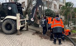 Fazlaca: “Altınova İçin Dört Koldan Çalışıyoruz”