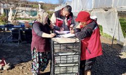 Fırtına Tarımı Vurdu, Ekipler Sahaya İndi