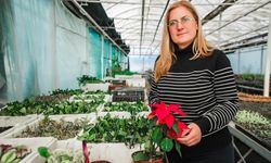 Gülnur Erol’un şifalı bitkilerle yolculuğu