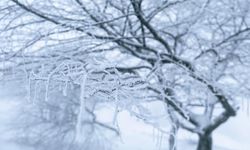 Höyüktepe’de Kar Keyfi