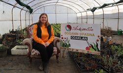 Hayal Etti, Üretti, Kendi Markasını Kurdu