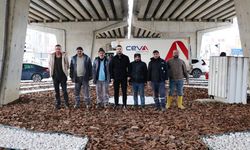 Özdilek Kavşağı Kurakçıl Peyzajla Yenilendi