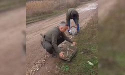 19 Saka Kuşu Doğaya Salındı, 176 Bin TL Ceza Kesildi
