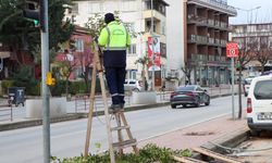 Şehit Ömer Faydalı Caddesinde Ağaçlar Budandı