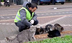 Sokakta Bulunan Can Dostlarımız Unutulmadı