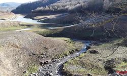 ‘Suçlu Aramak Yerine Çözüm Üretmeli’