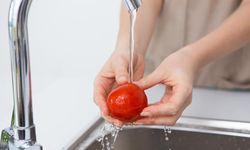 Yalovalılar Aralık Ayı Boyunca Temiz Olmayan Su mu İçti?