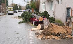 Yalova Belediyesi’nden Hava Durumu Uyarısı: Kuvvetli Rüzgar ve Kar Geliyor