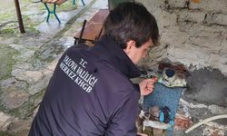 Elmalık Köyü Muhtarlığından Vatandaşlara Önemli Uyarı