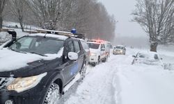 Teşvikiye Delmece Yaylası’nda Mahsur Kalan 5 Kişi Kurtarıldı