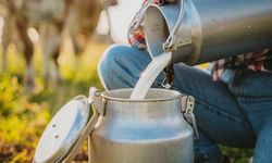 Yalova’da Çiğ Süte Zam: Litresi 48 TL Oldu