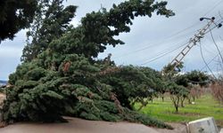 Yalova’da Fırtına Hayatı Olumsuz Etkiledi