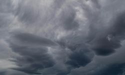 Yalova’da Ilık Hava Etkisini Sürdürüyor