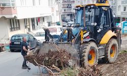 Çınarcık Sokaklarında Hummalı Temizlik
