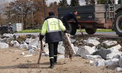 Doğu Sahil Bandı Kumsalında Kapsamlı Temizlik Çalışması